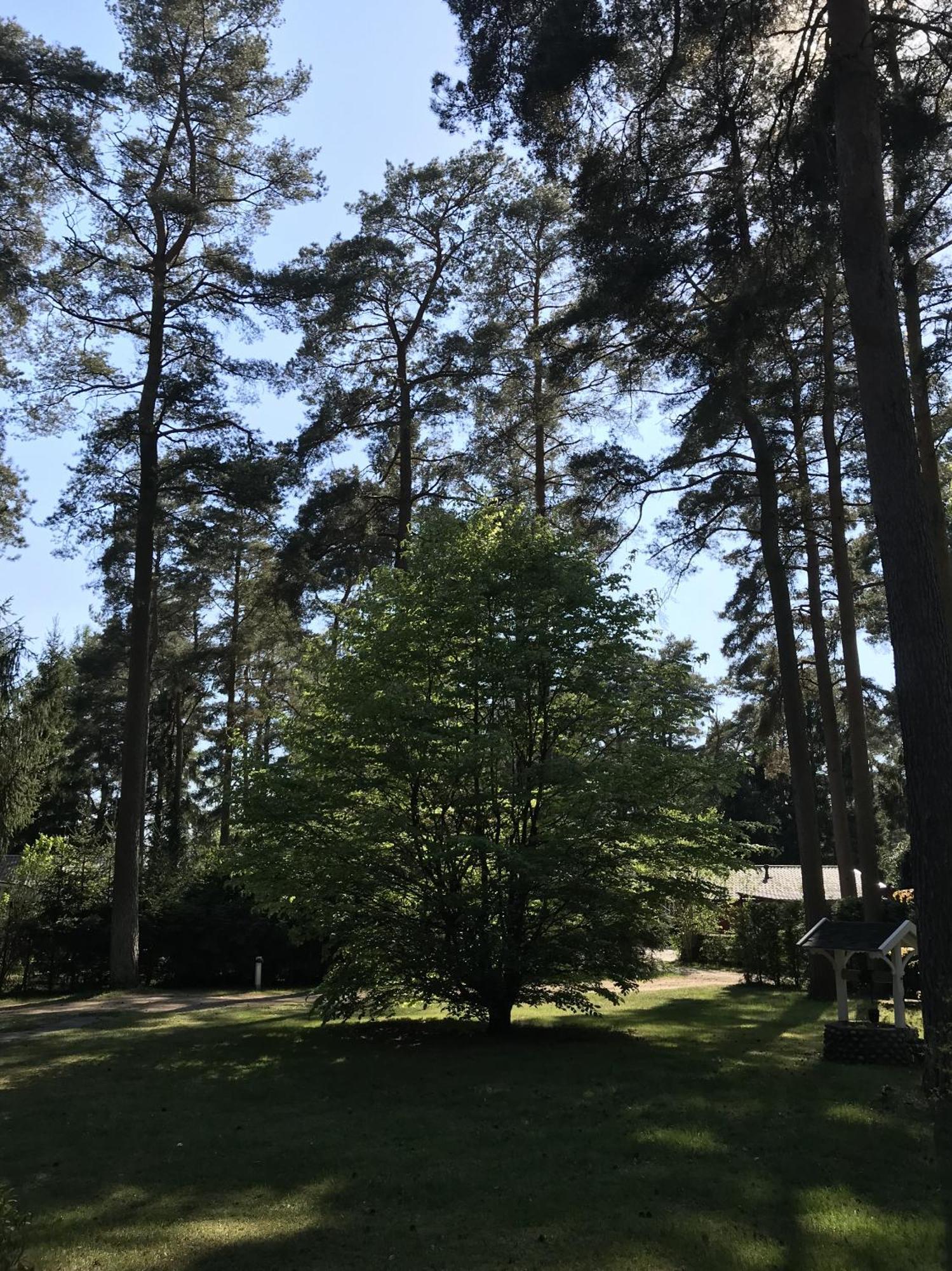 Вілла Nordic Relax House - Woodhouse Sjobo Екстер'єр фото